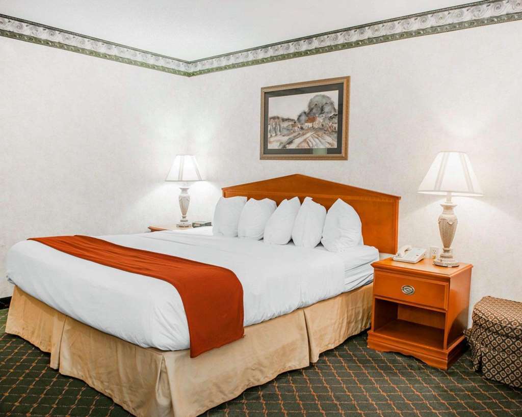 Quality Inn & Suites Brownsburg - Indianapolis West Room photo